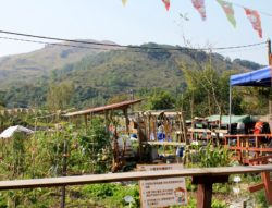 Beautiful Hills of Tai Lam Country Park as a backdrop to Hello Kiity Organic Farm