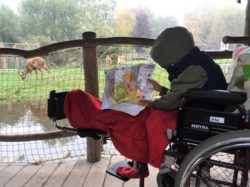 Zoo with broken leg - Ideas for caring for a child with a broken leg - The Little Adventurer